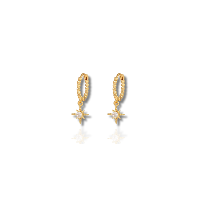 Elegante Nien Chique Oorbellen voor een Stijlvolle Look