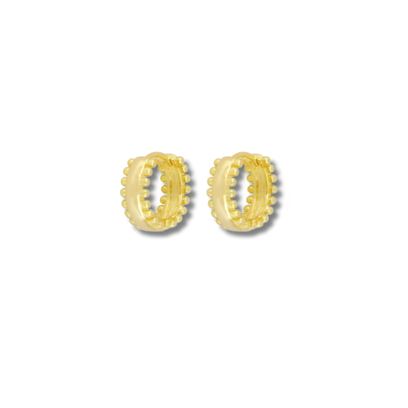 Elegante  Vergulde Hanger Oorbellen Set - Bibi