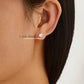 Elegant Shine Zirkonium Oorknopjes Set